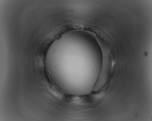 X0000089910616200707061000