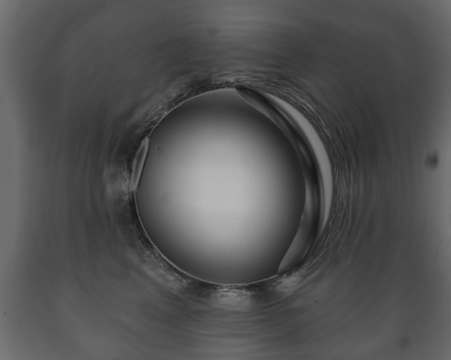 X0000089910617200707061000