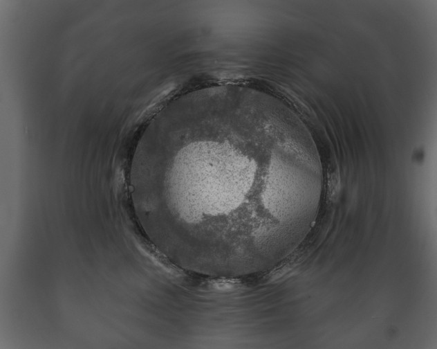 X0000089910618200707061000