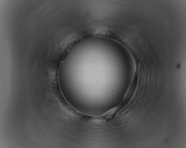 X0000089910619200707061000