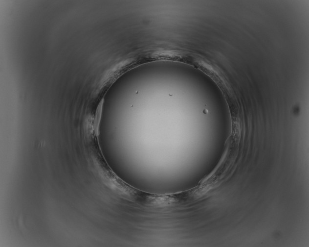 X0000089910621200707061000