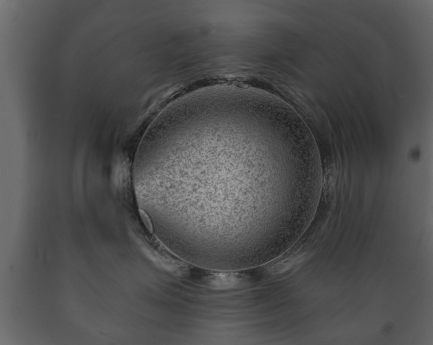 X0000089910623200707061000