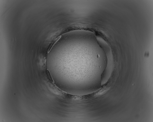 X0000089910624200707061000