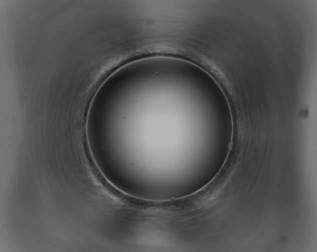 X0000089910625200707060959