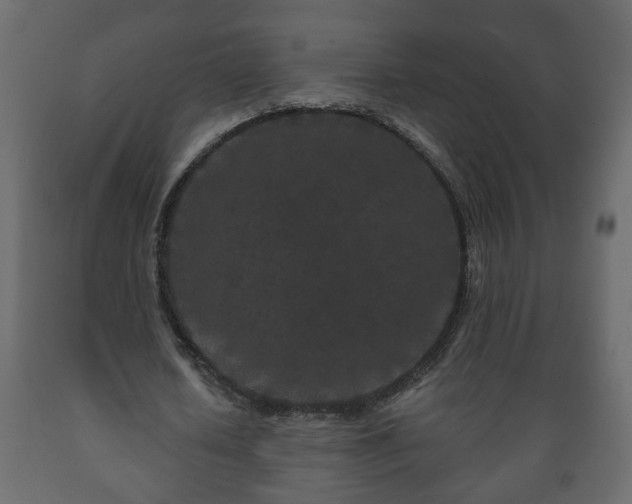 X0000089910626200707060959