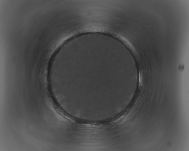 X0000089910627200707060959