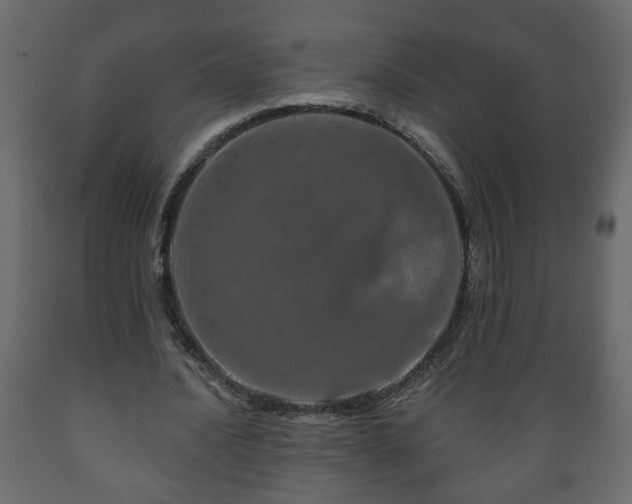 X0000089910628200707060959