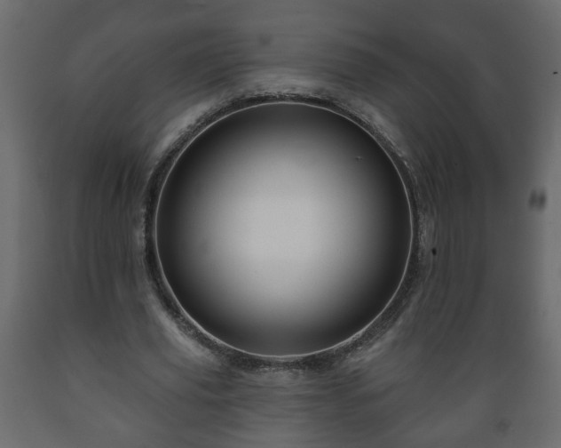 X0000089910629200707060959