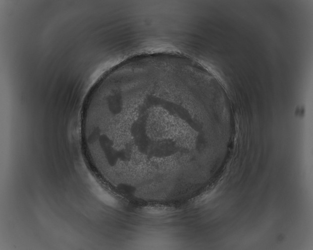 X0000089910630200707060959
