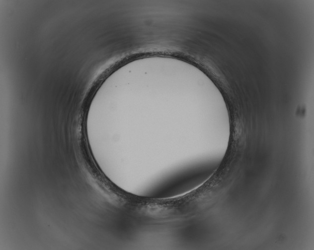 X0000089910632200707060959