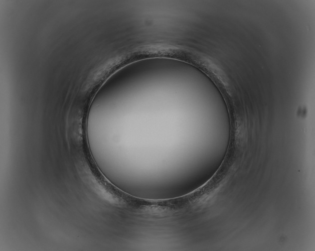 X0000089910633200707060959