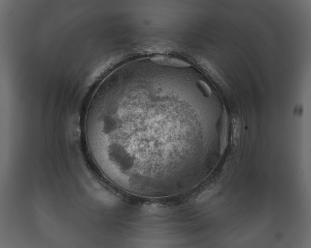 X0000089910634200707060959