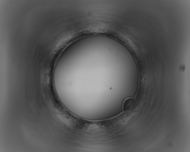 X0000089910635200707060959