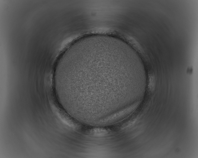 X0000089910636200707060959