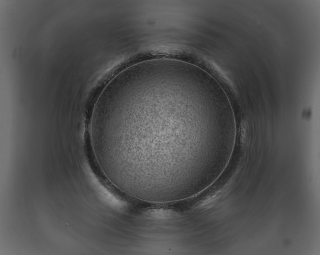 X0000089910637200707060959
