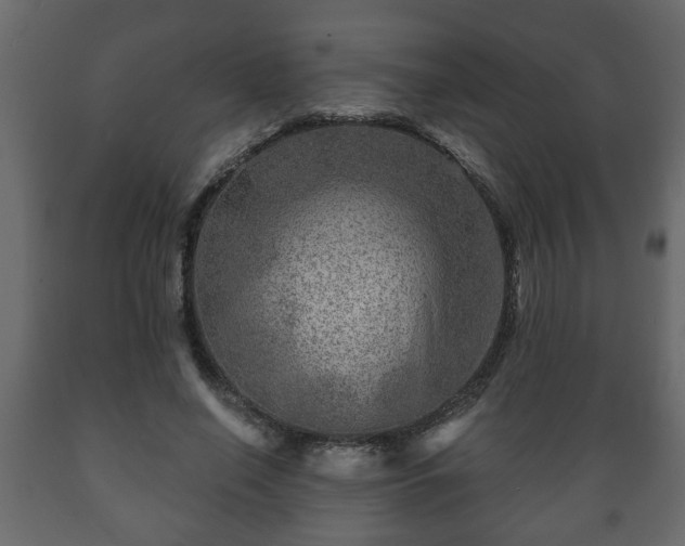 X0000089910638200707060959