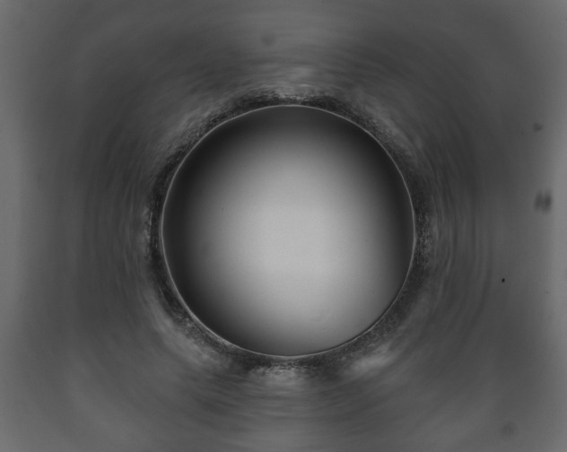X0000089910639200707060959
