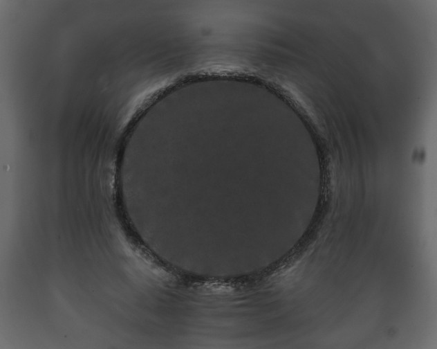 X0000089910640200707060959