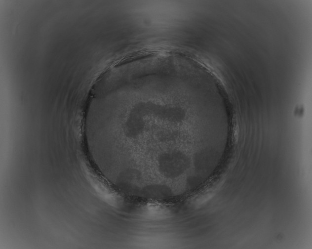 X0000089910641200707060959