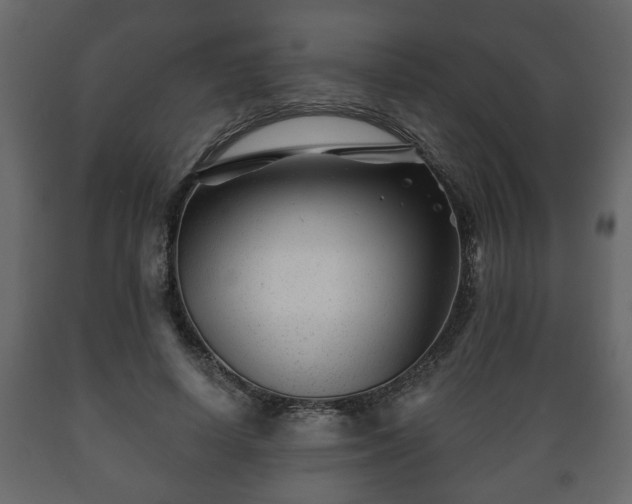 X0000089910642200707060959