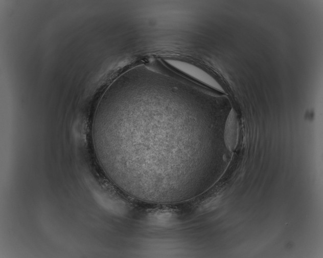 X0000089910643200707060959