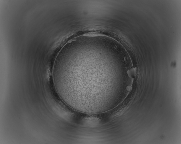 X0000089910644200707060959