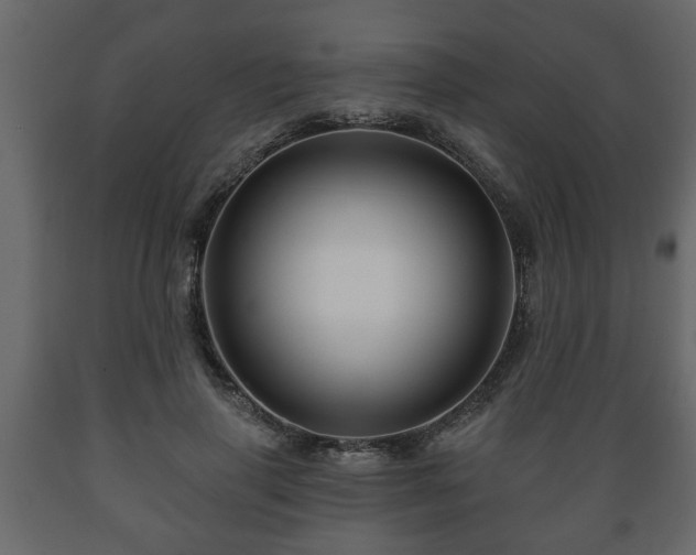 X0000089910645200707061000