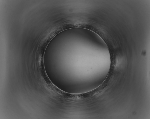 X0000089910646200707061000