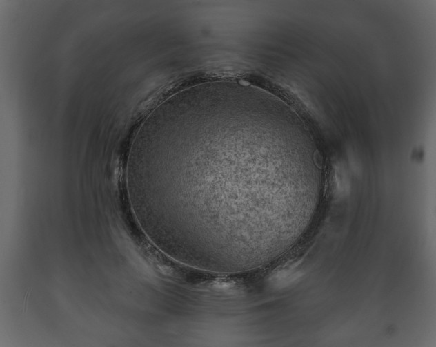 X0000089910647200707061000