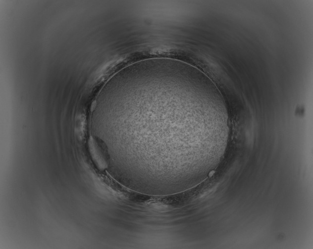 X0000089910648200707061000