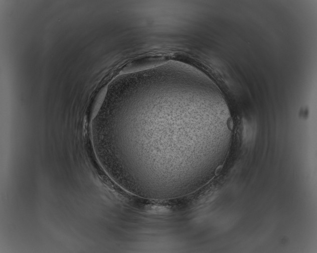X0000089910649200707061000