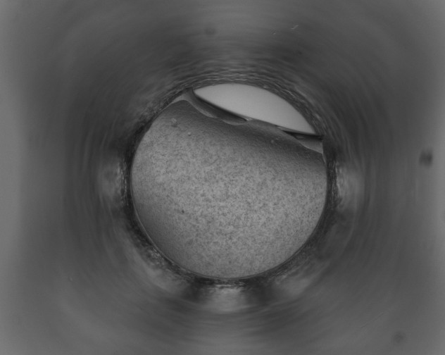 X0000089910651200707061000