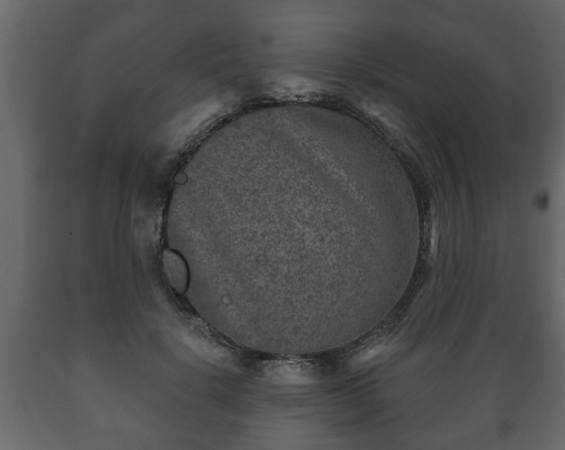 X0000089910652200707061000
