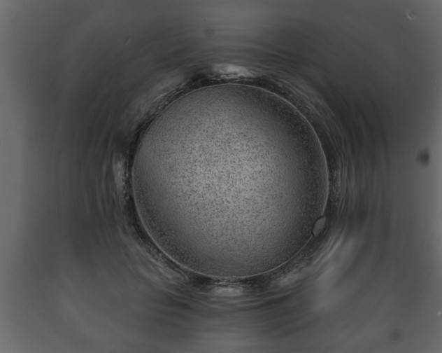 X0000089910653200707061000