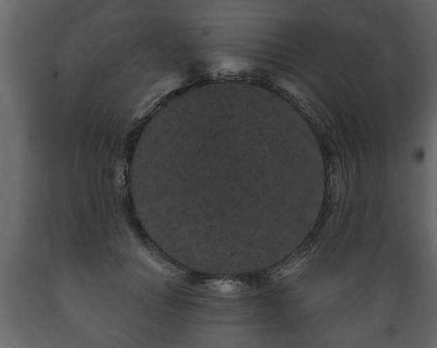 X0000089910654200707061000