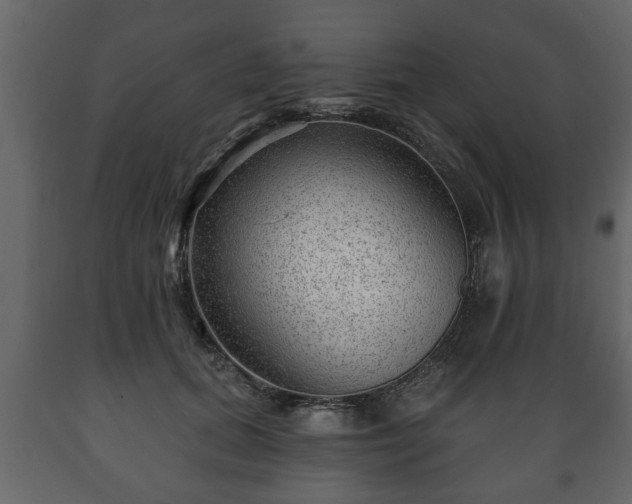 X0000089910655200707061000