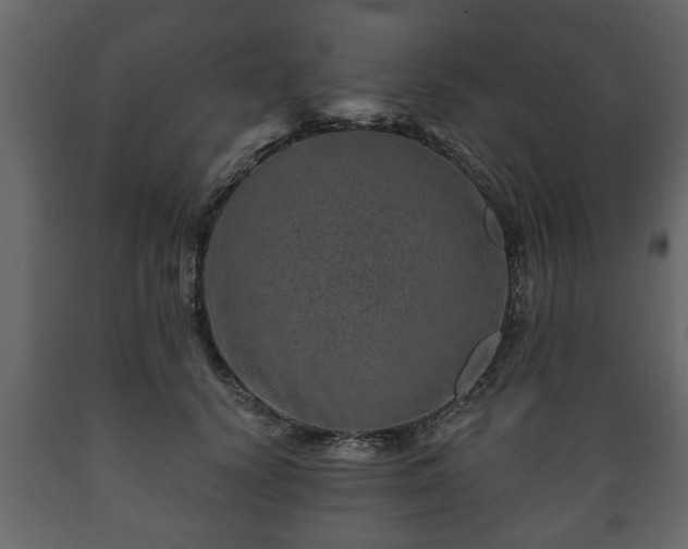 X0000089910656200707061000