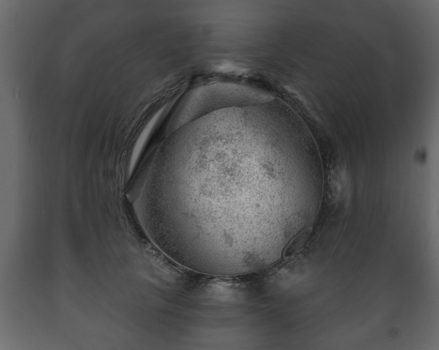 X0000089910657200707061000