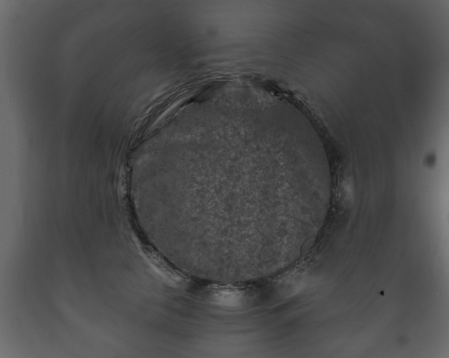 X0000089910658200707061000