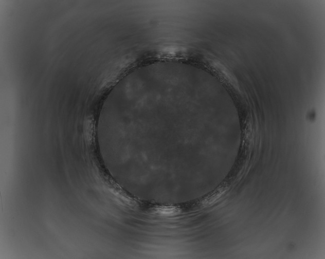 X0000089910659200707061000
