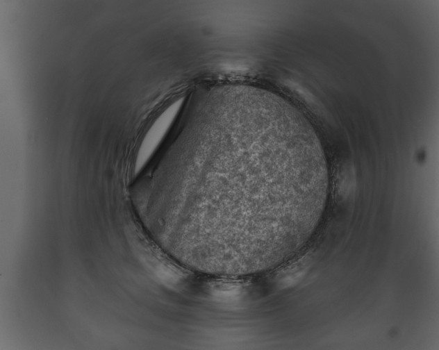 X0000089910661200707061000