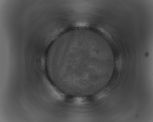 X0000089910662200707061000