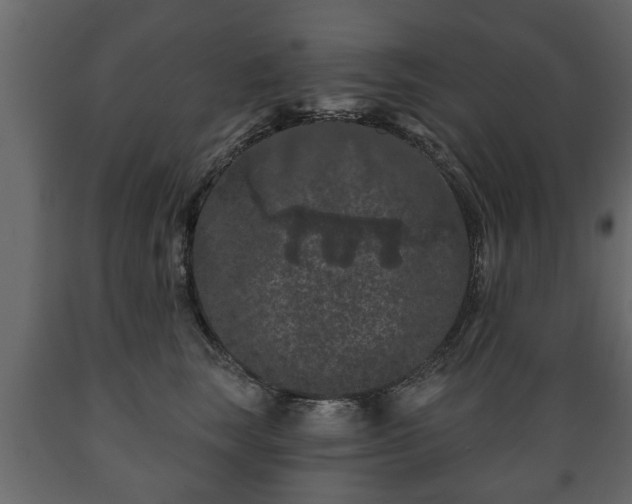 X0000089910663200707061000