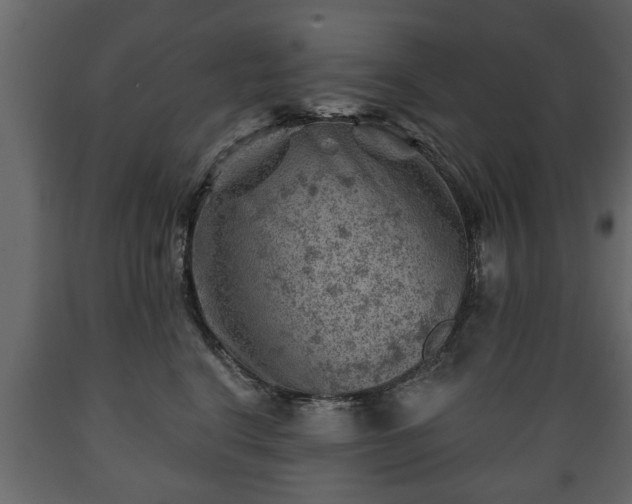 X0000089910664200707061000