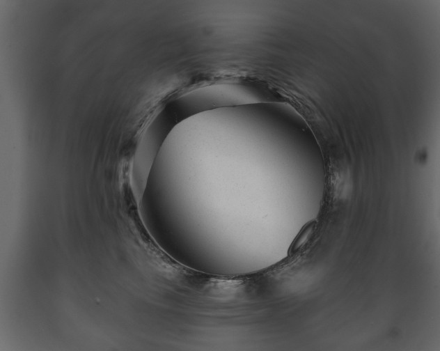 X0000089910665200707061000