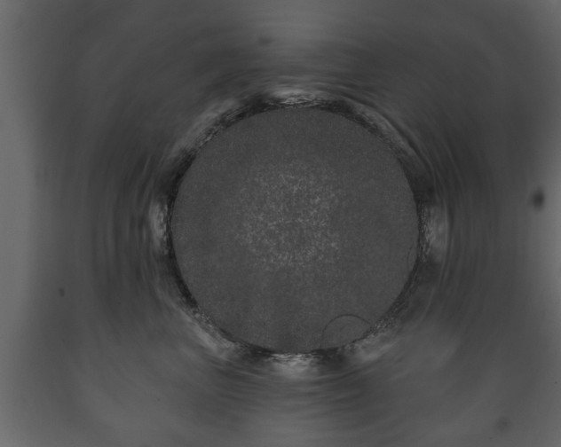X0000089910667200707061000