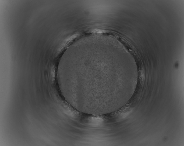 X0000089910668200707061000