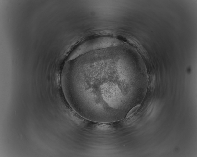 X0000089910669200707061000