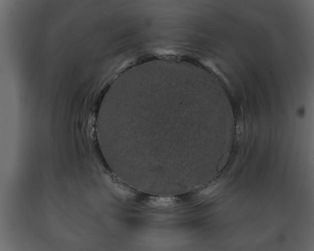 X0000089910671200707061000