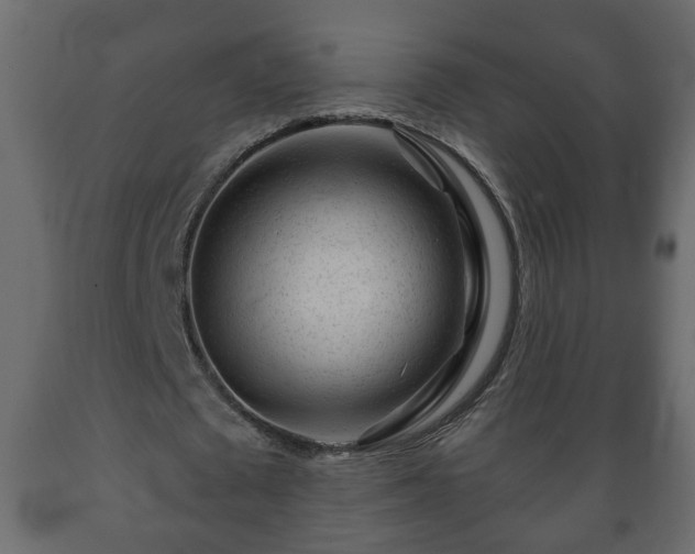 X0000089910673200707060959